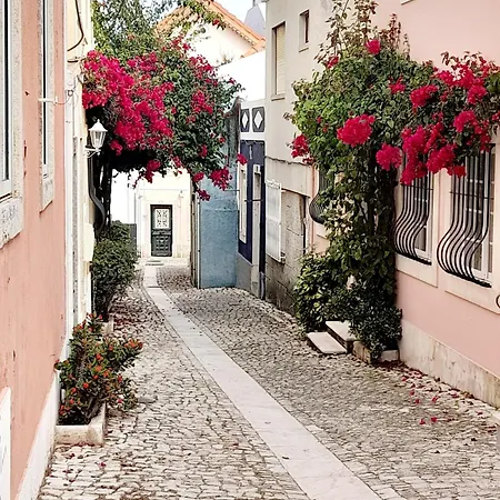 Perto Do Centro Cascais